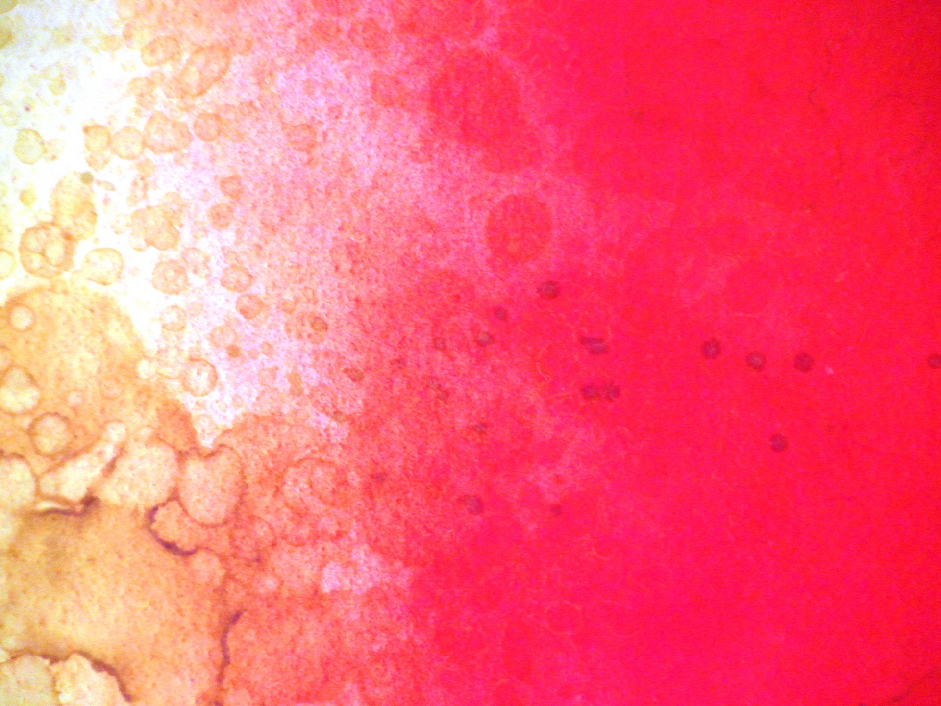 Red Gold Golden Free Photo - Art - HD Wallpaper 