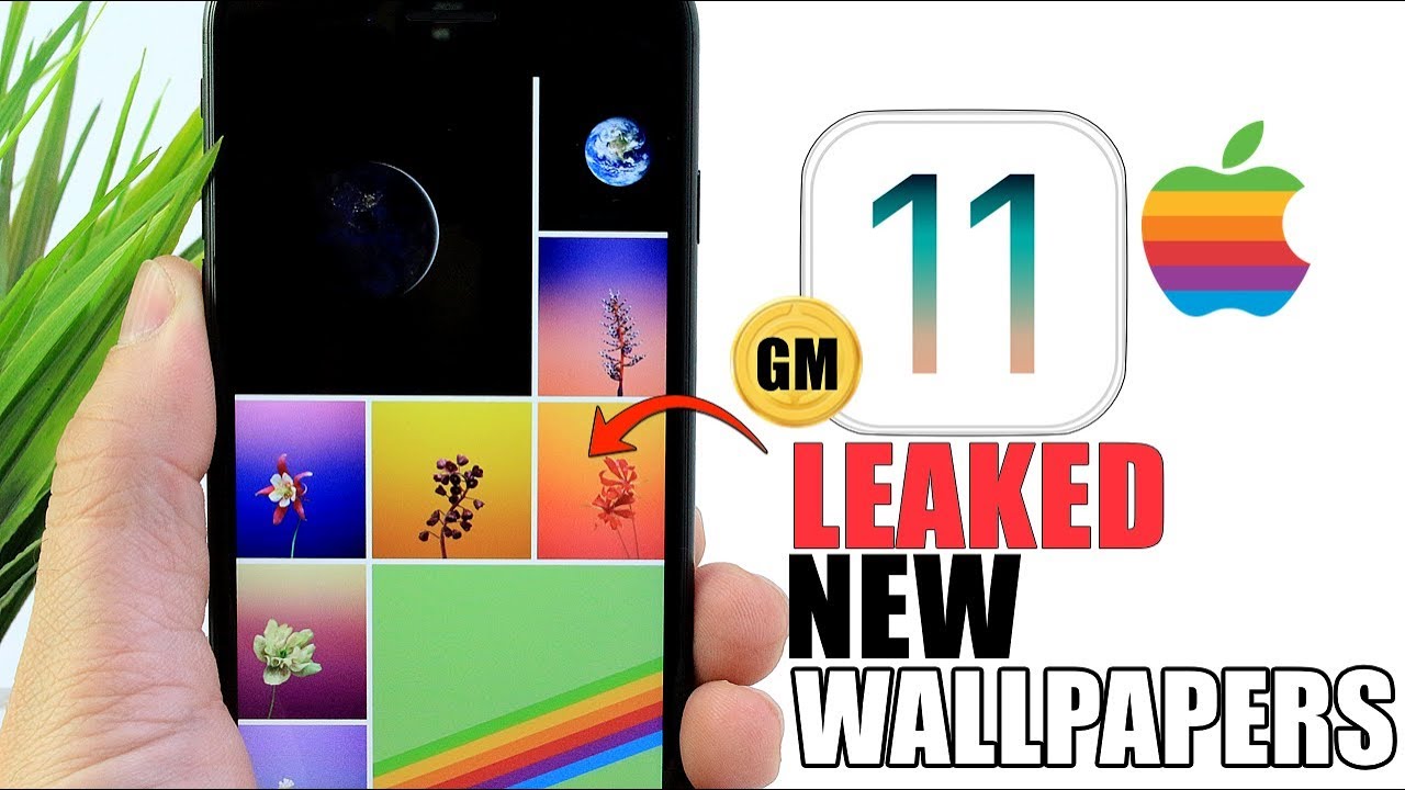 Graphic Design - HD Wallpaper 