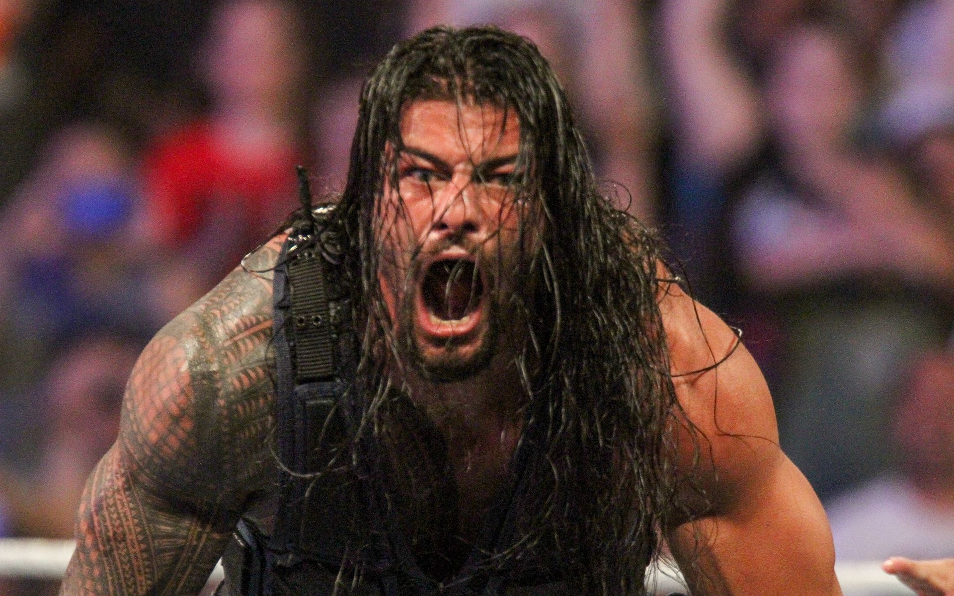 Full Hd Roman Reigns - HD Wallpaper 