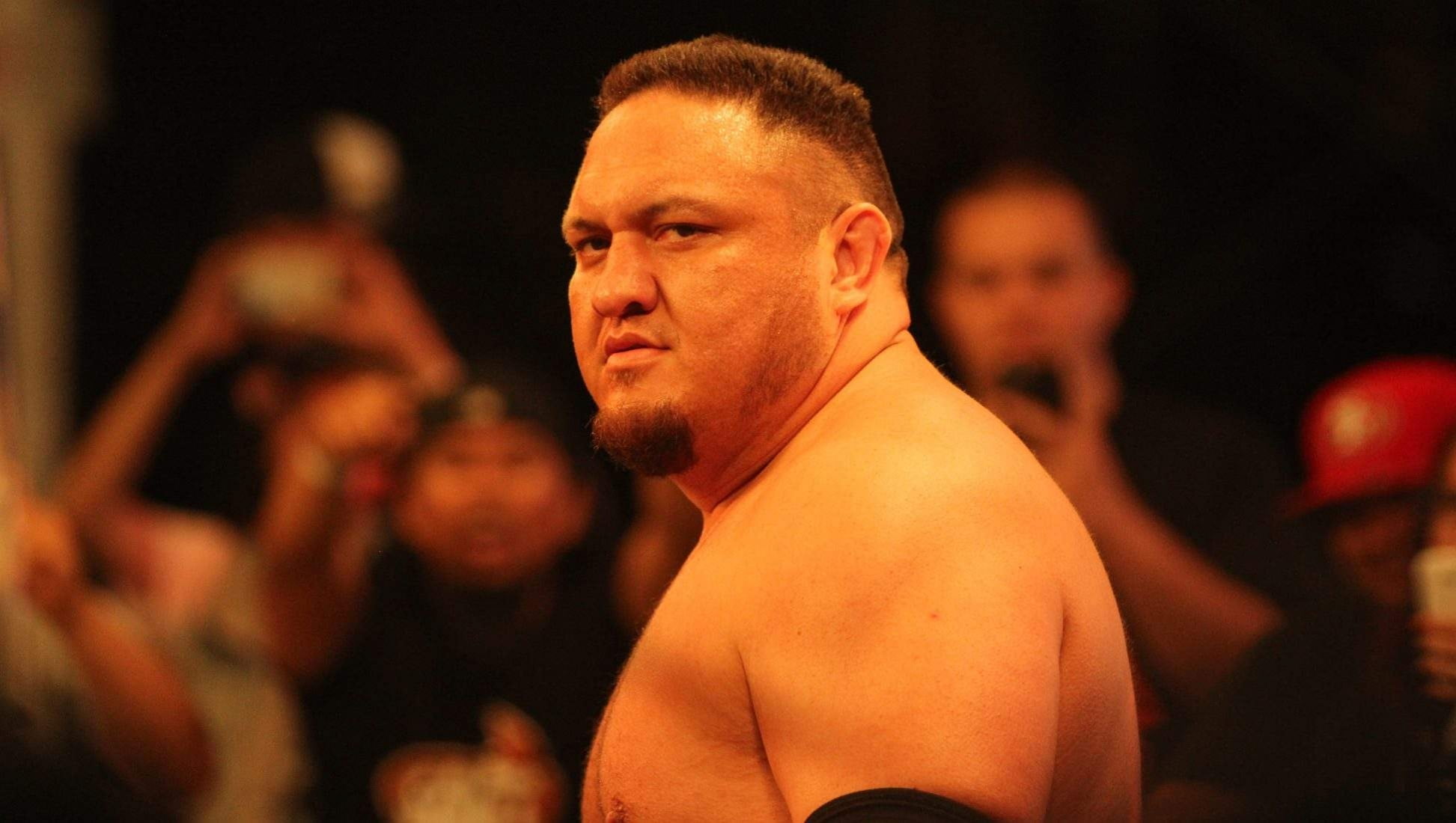 Samoa Joe Hd - HD Wallpaper 