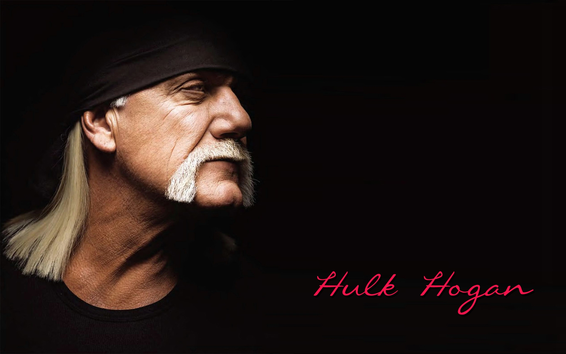 Hulk Hogan Hd Wallpaper - Hulk Hogan - HD Wallpaper 