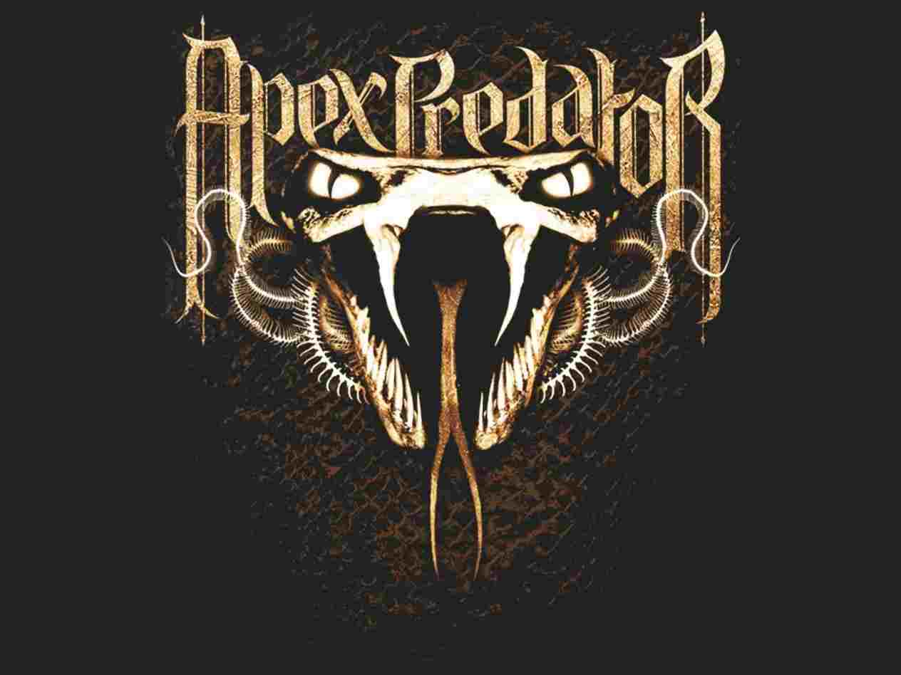 Viper Randy Orton Logo - HD Wallpaper 