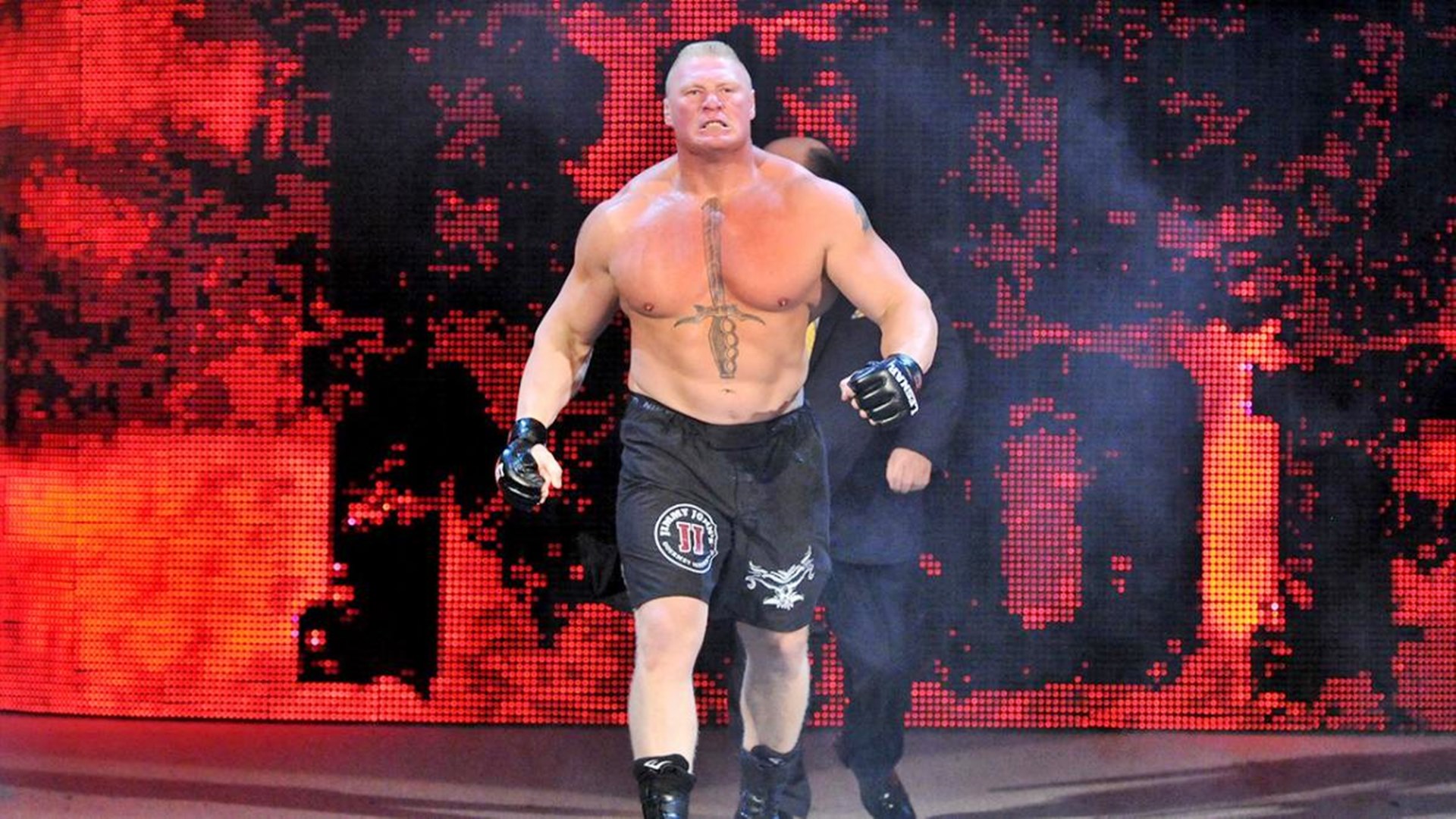 Wwe Brock Lesnar 2015 - HD Wallpaper 