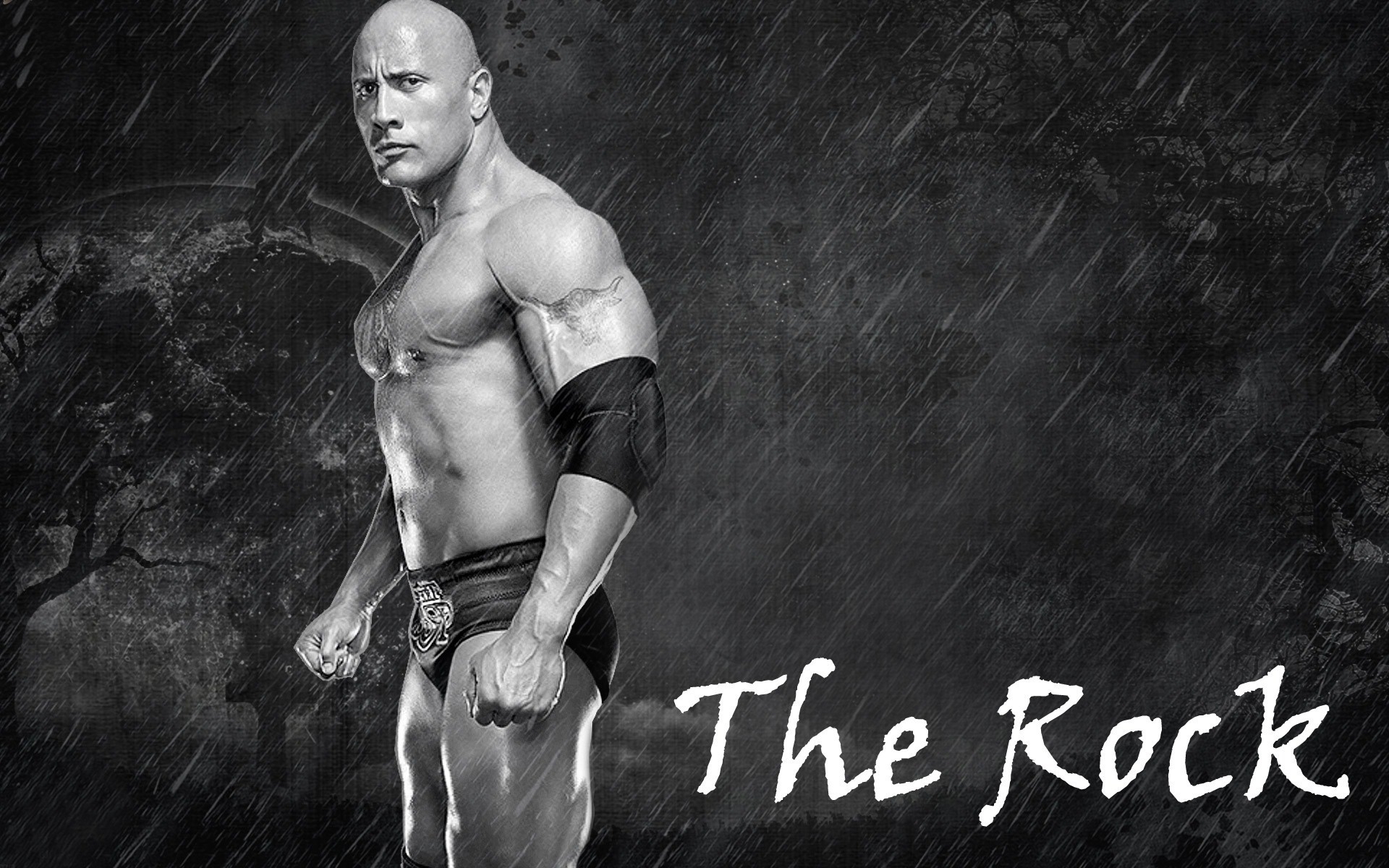 The Rock New Wallpapers Wrestling Raw Smack Down Ecw - Rock Body Image Hf - HD Wallpaper 