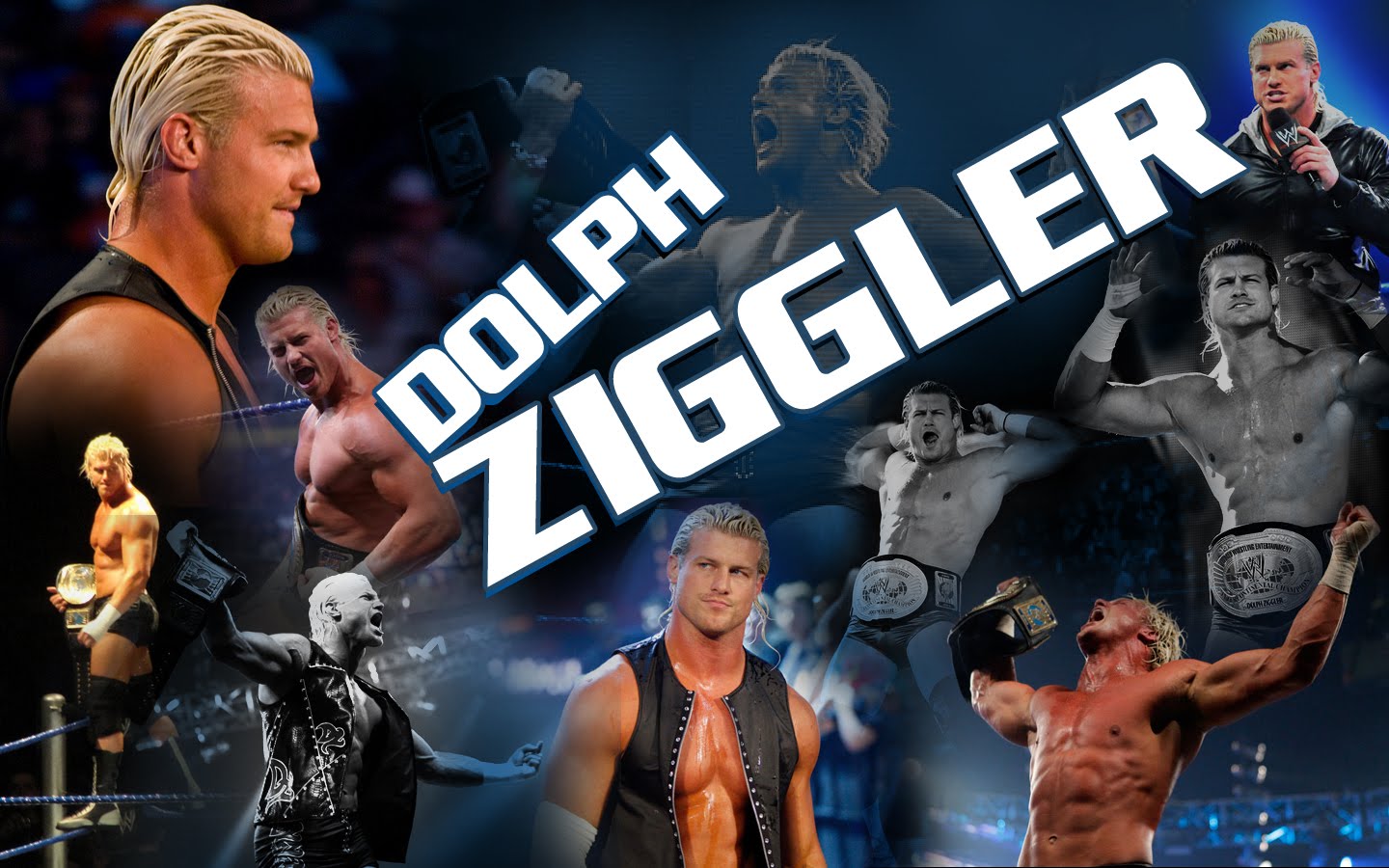 Wwe Superstar Dolphins Ziggler - HD Wallpaper 