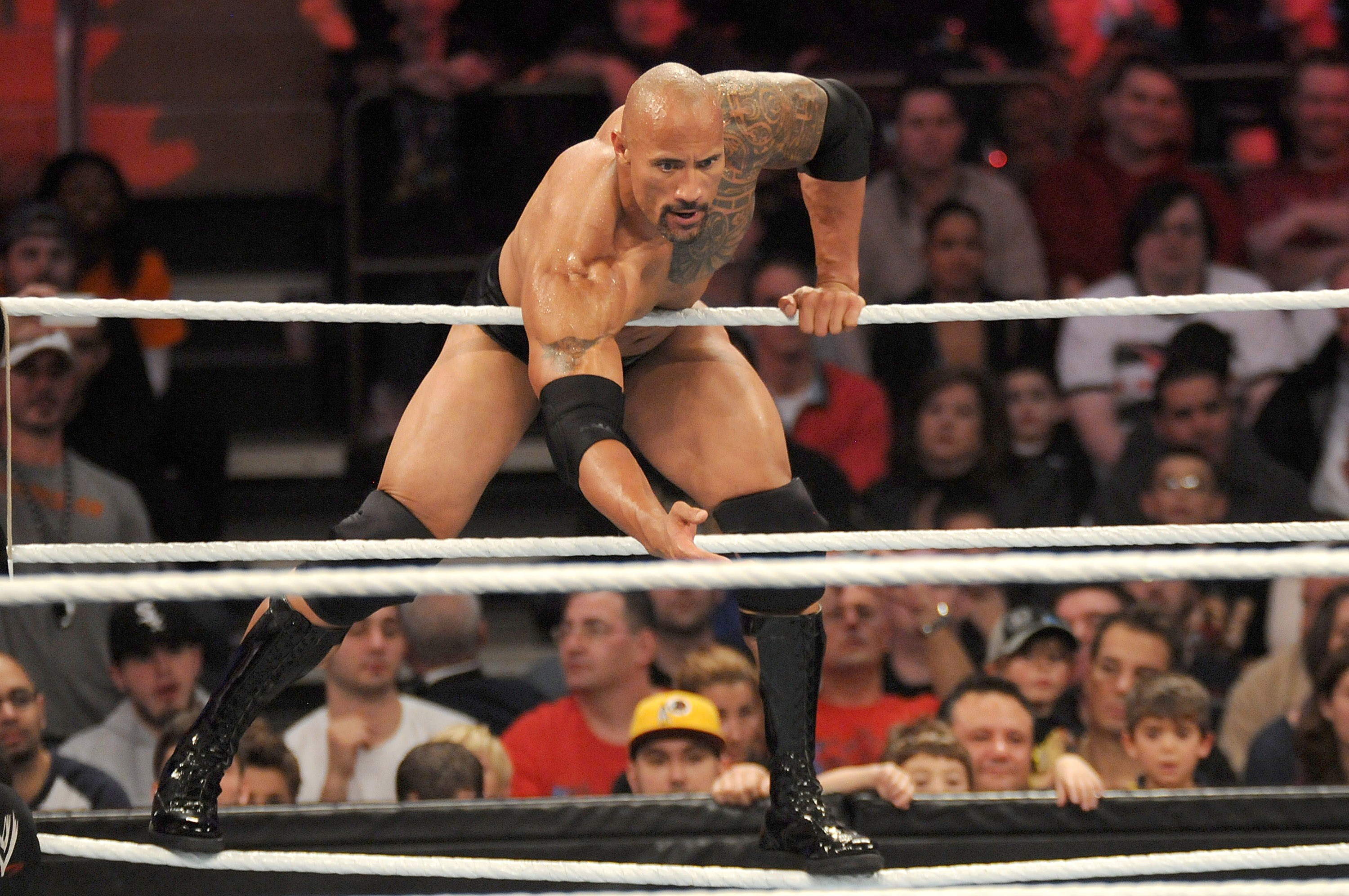 Dwayne Johnson Fight Wwe - HD Wallpaper 