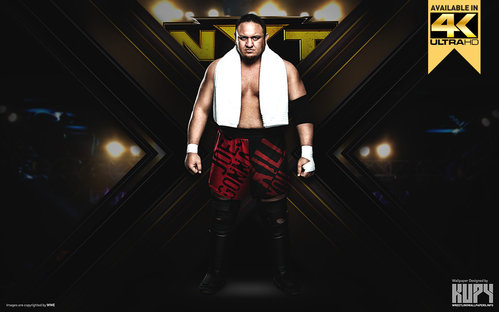 Wrestling, By Le Waldon, - HD Wallpaper 