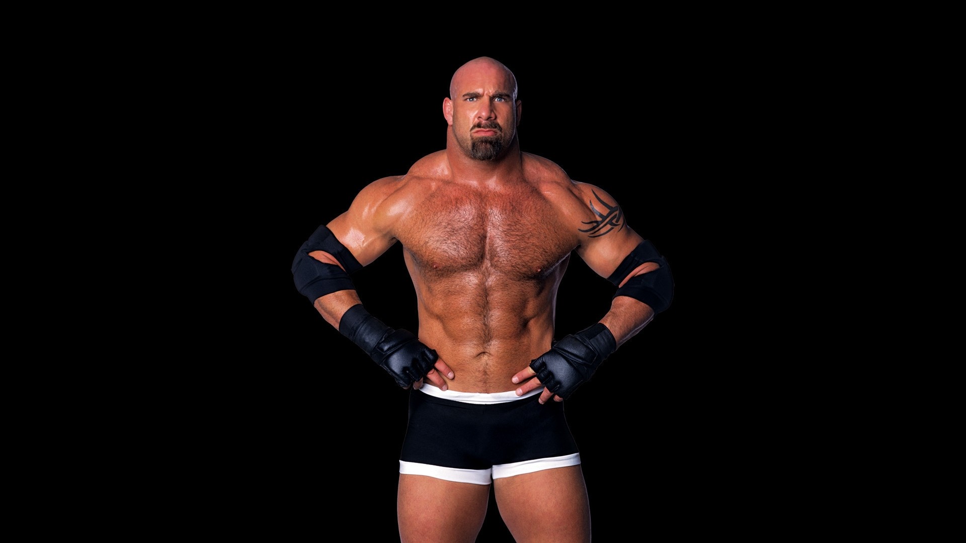Bill Goldberg Wwe Wrestler And Actor - บล็อก เล ส เนอ ร์ - HD Wallpaper 
