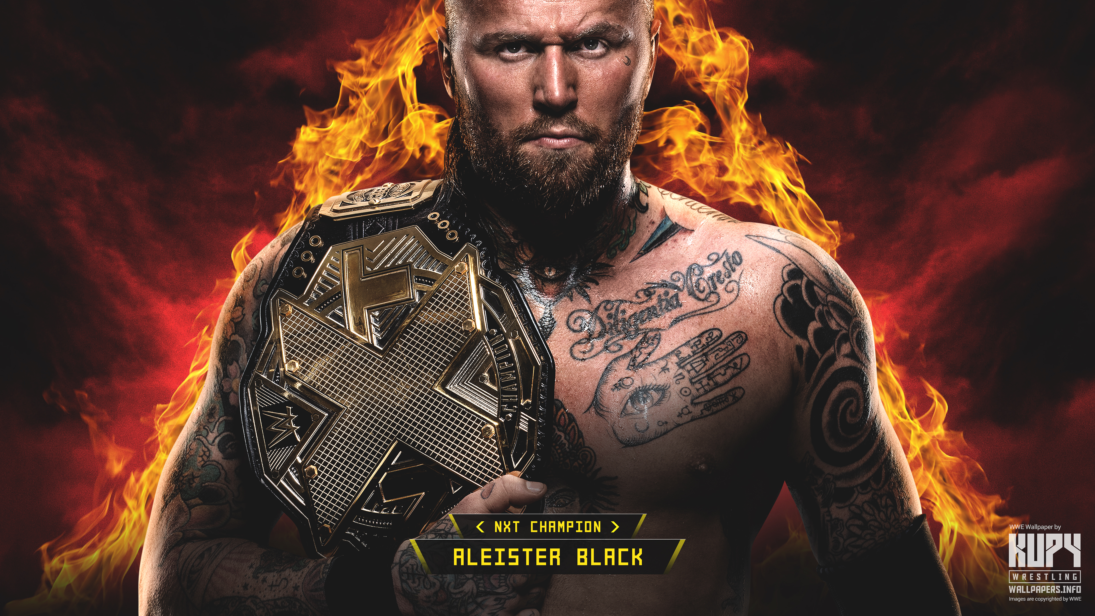 Aleister Black Nxt Champion - HD Wallpaper 
