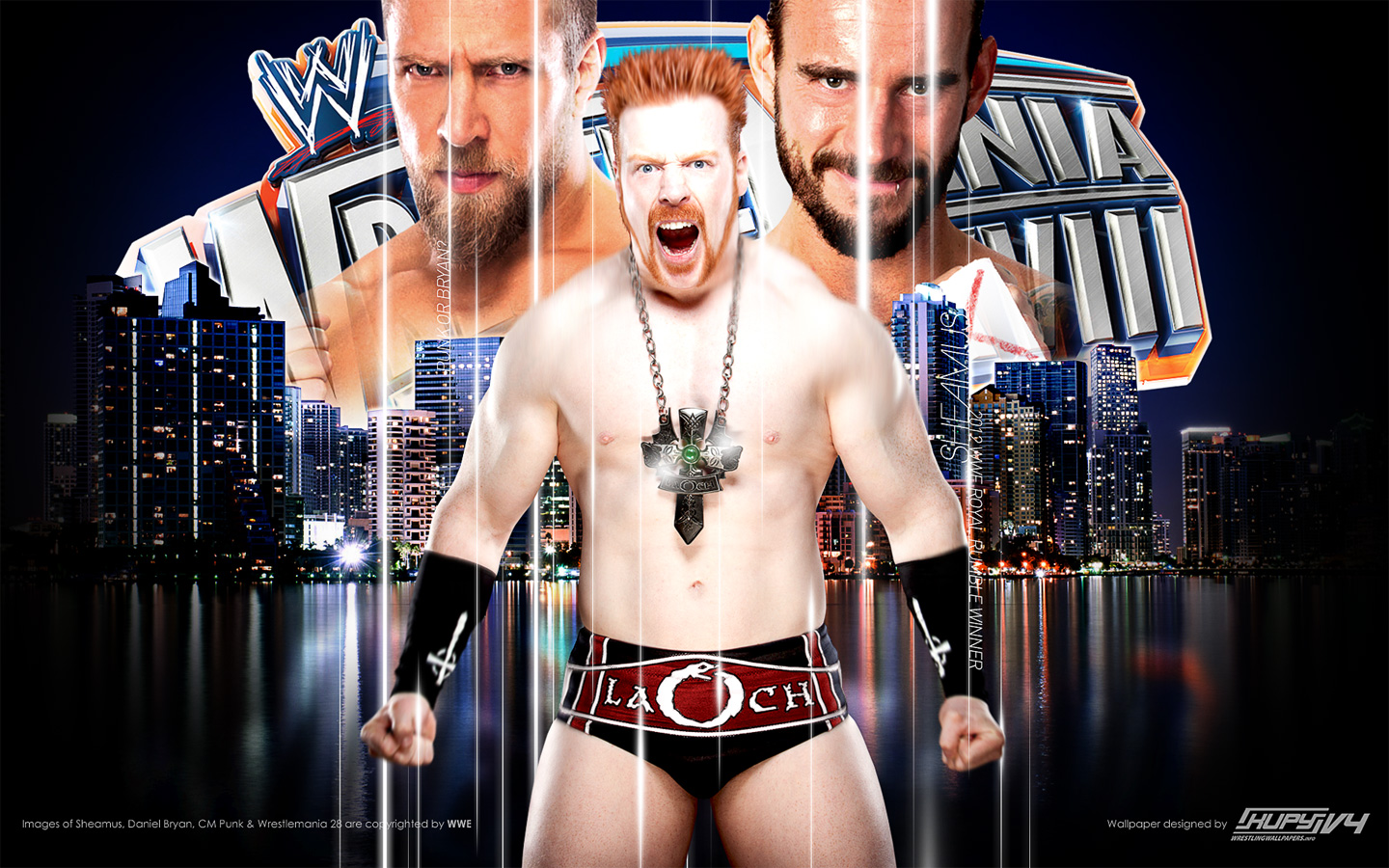 Sheamus-road To Wrestlemania - Royal Rumble 2012 Winner - HD Wallpaper 