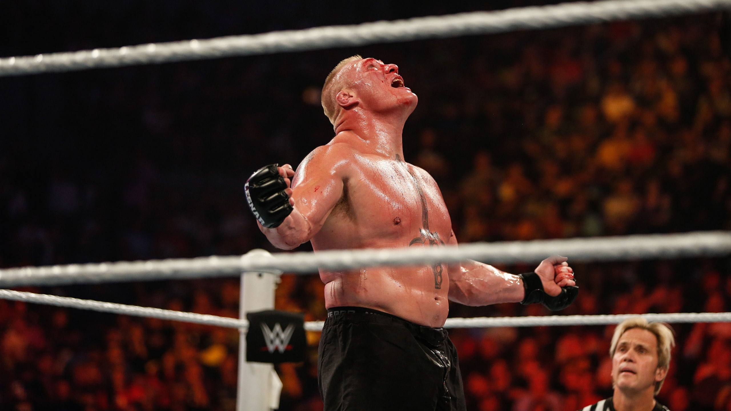 Brock Lesnar Wrestler - Brock Lesnar - HD Wallpaper 
