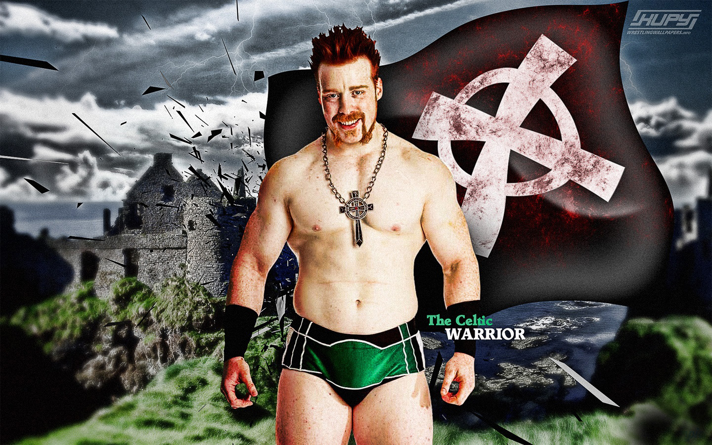 Body Sheamus Wwe - 1440x900 Wallpaper - teahub.io