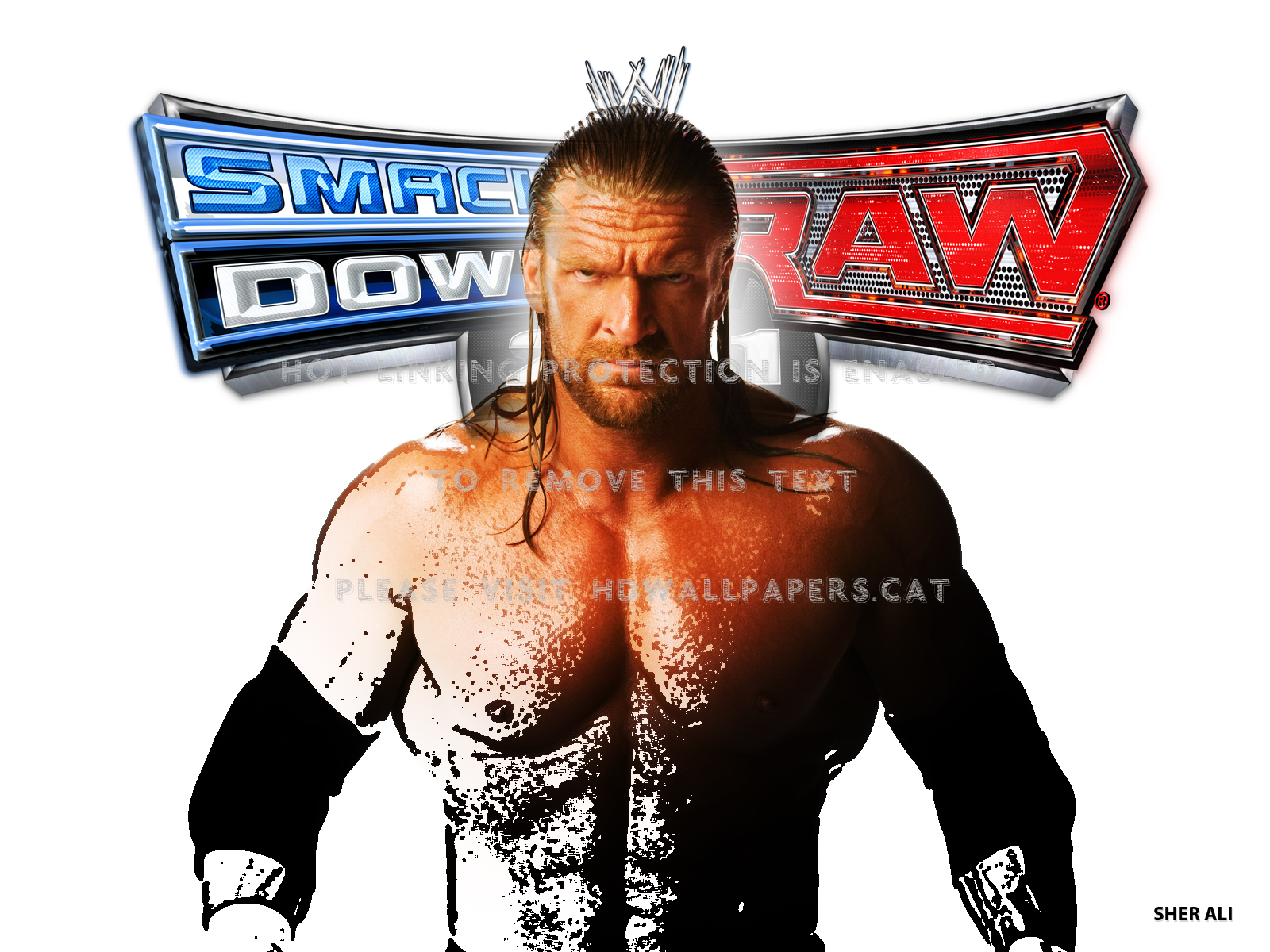 Smackdown Raw 2011 Triple H Wallpaper Svr - Smackdown Vs Raw Logo - HD Wallpaper 