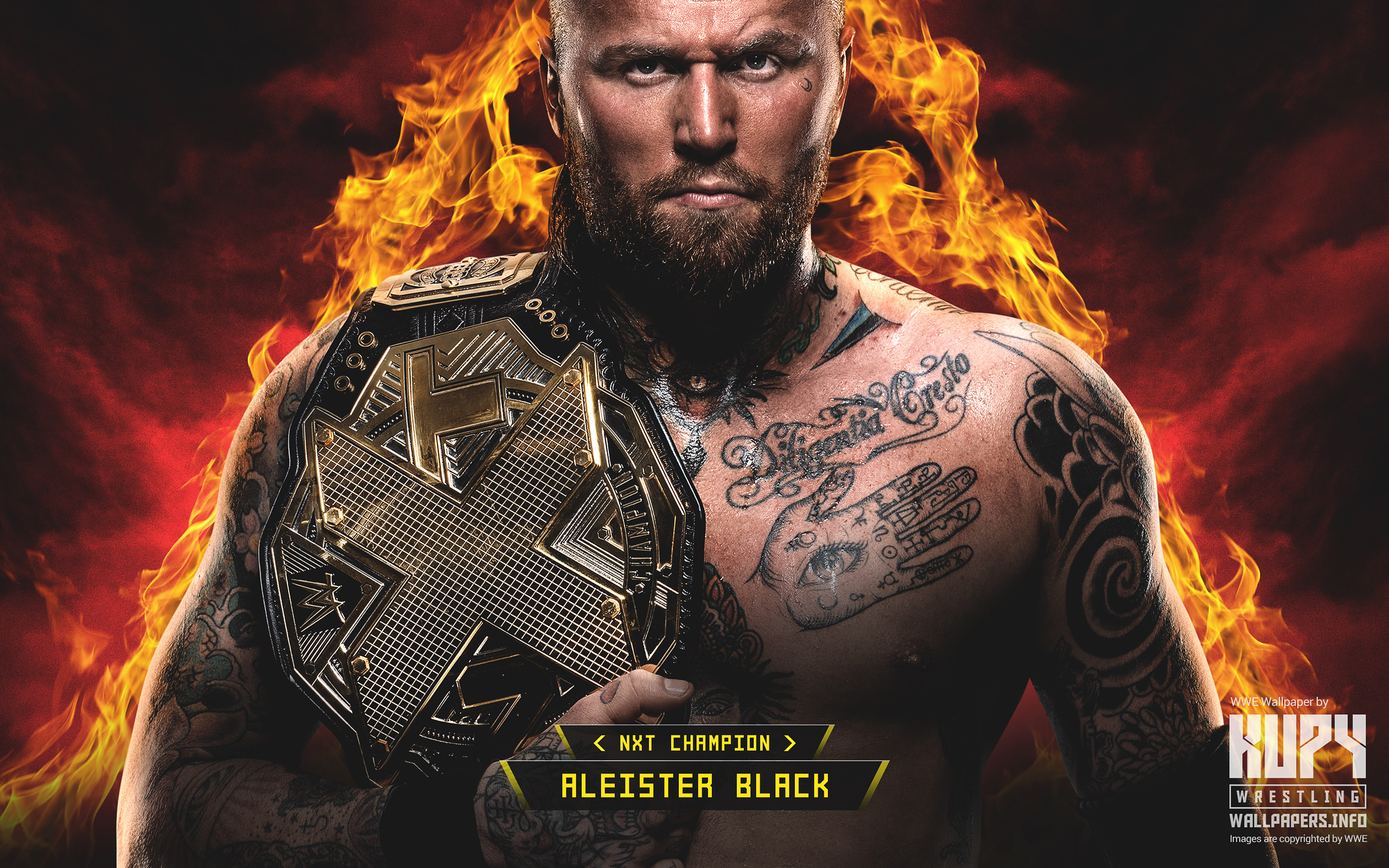 2560x1600, Mobile - Nxt Champion Aleister Black - HD Wallpaper 