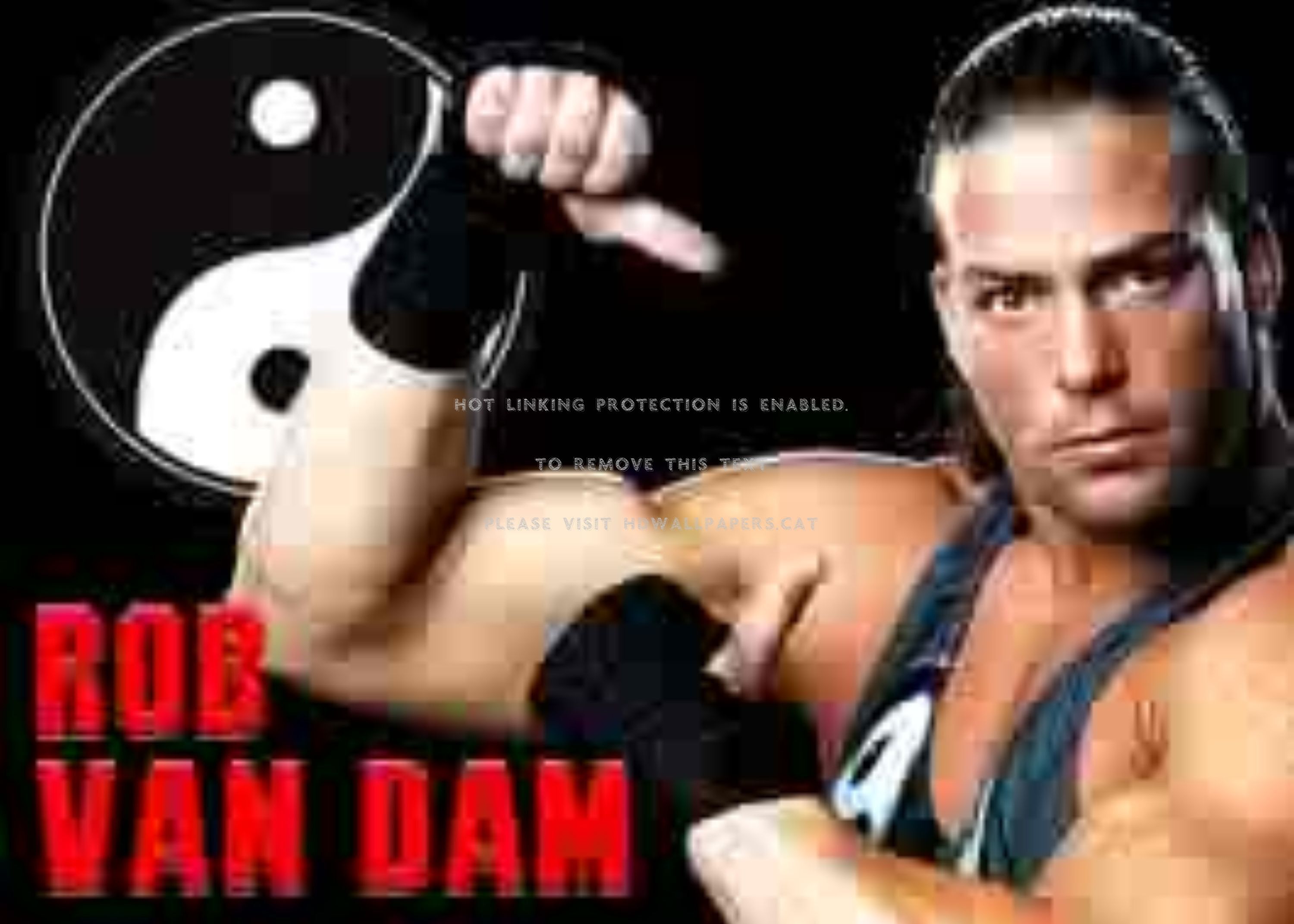Rvd Ecw Wcw Tna Wwe Smackdown Awa Nxt Raw - Rob Van Dam - HD Wallpaper 