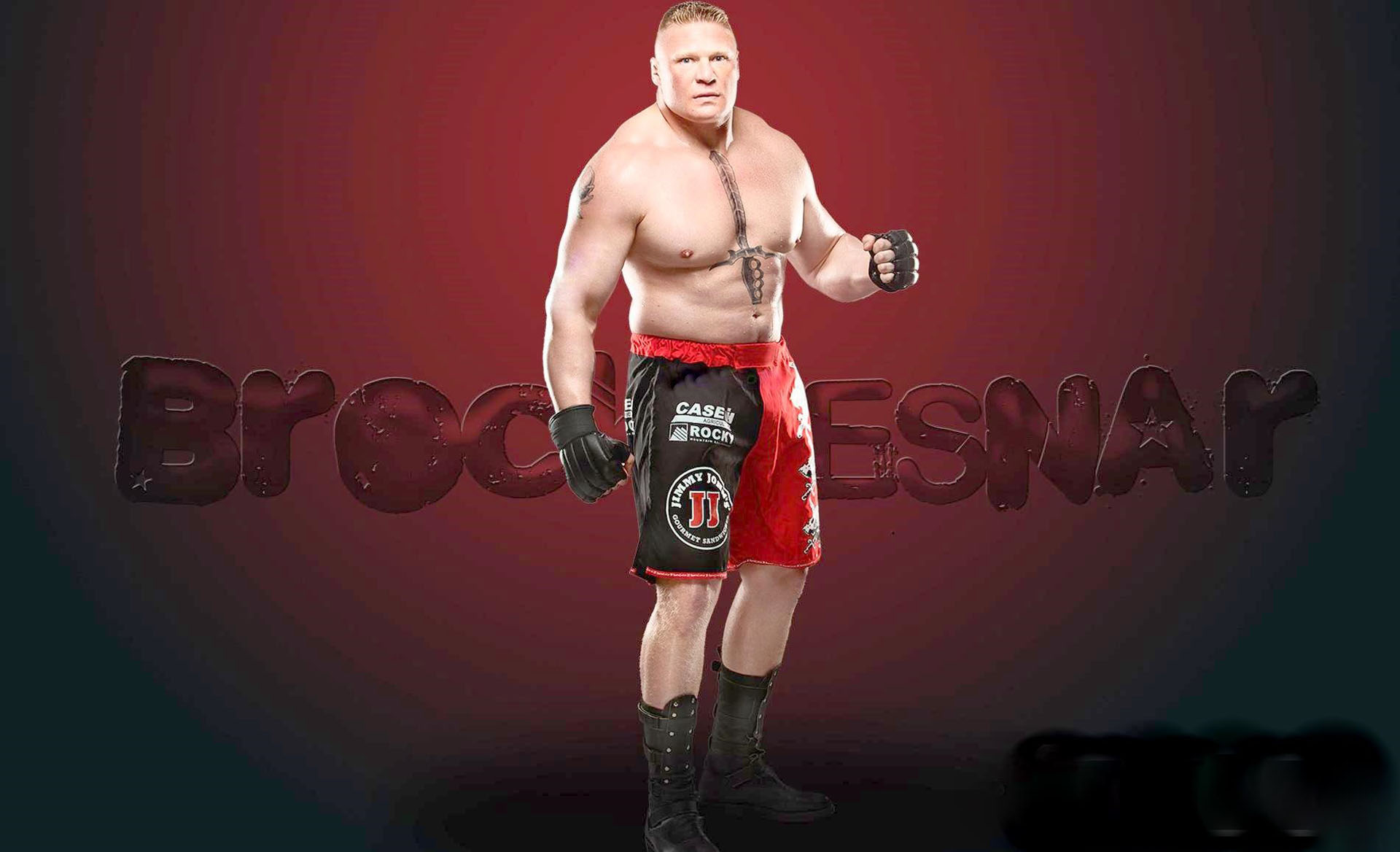 Wwe Desktop Backgrounds Deskbg
 Wwe Sting Wallpaper, - Brack Lesner Hd Imges - HD Wallpaper 