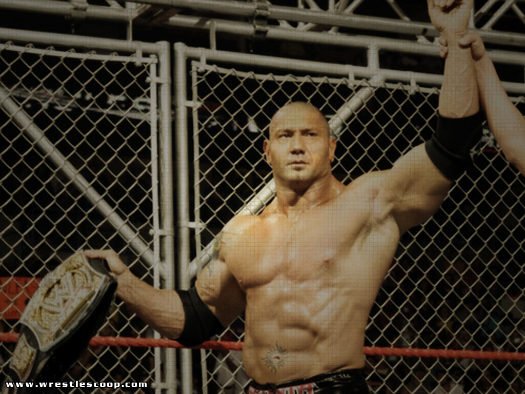 São Paulo Zoo - HD Wallpaper 