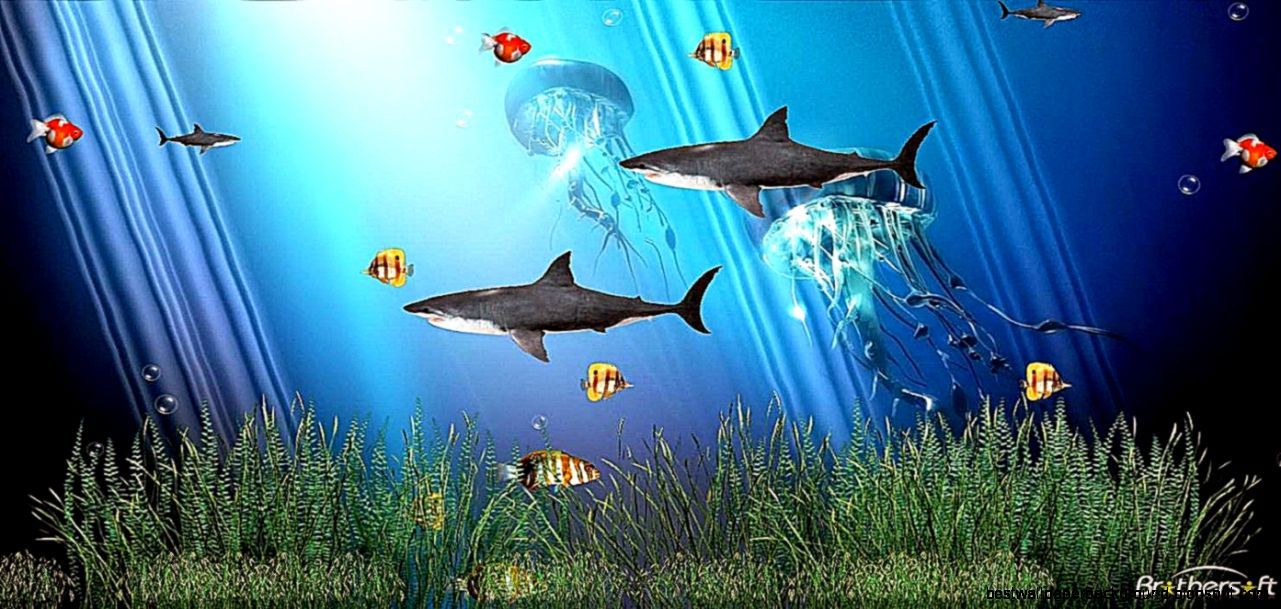 Screensaver Wallpaper For Pc - HD Wallpaper 