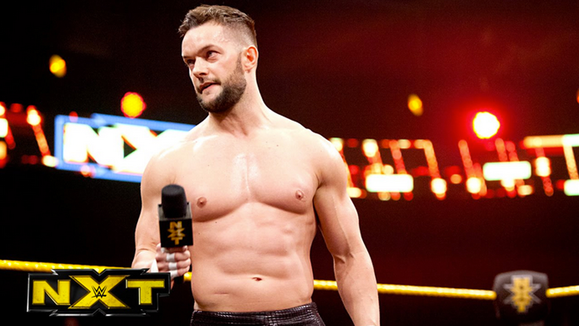 Finn Balor Nxt - HD Wallpaper 