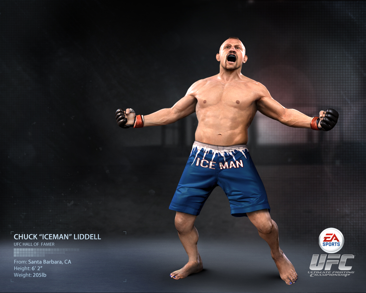 Ea Sports - HD Wallpaper 