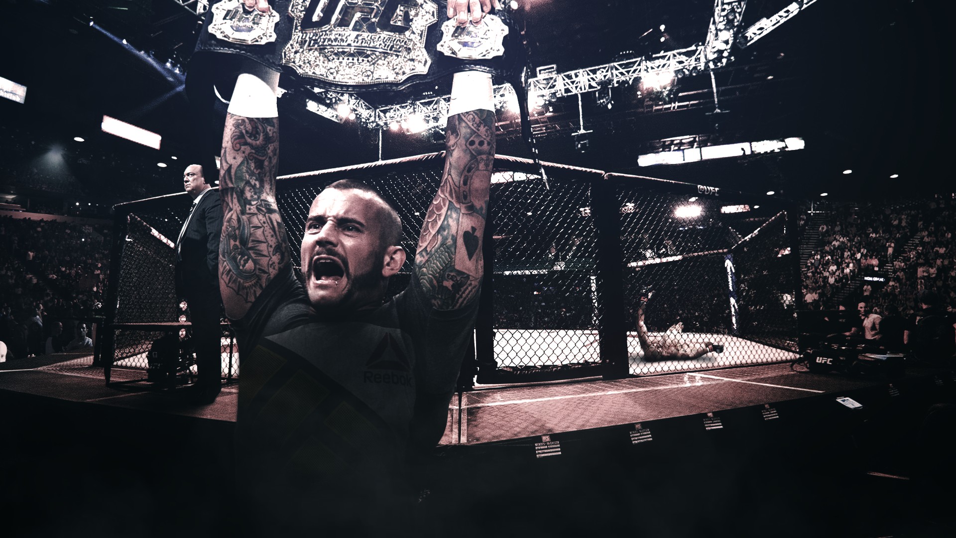 Ufc Wallpaper - Shootfighting - HD Wallpaper 