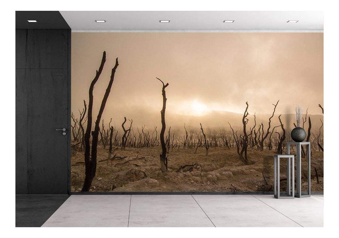 Wasteland With Foggy Sky - Places Without Water - HD Wallpaper 