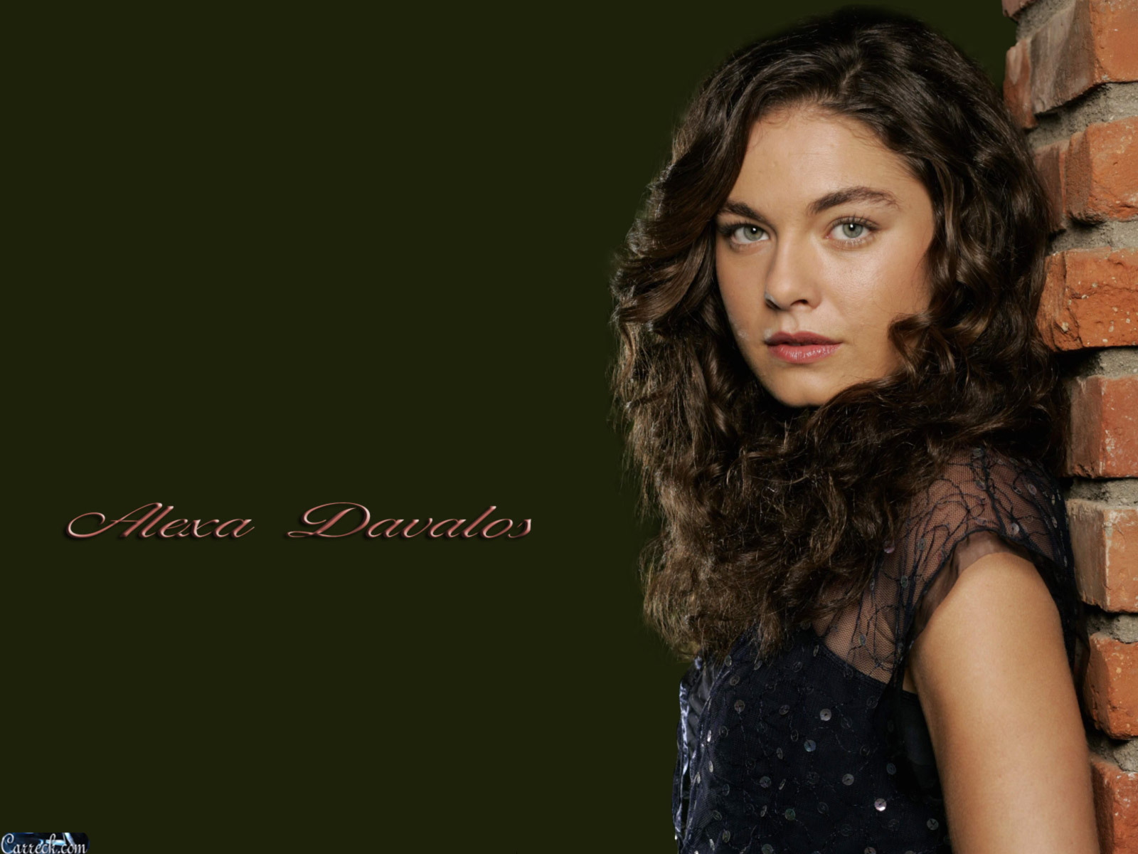 Alexa davalos hair