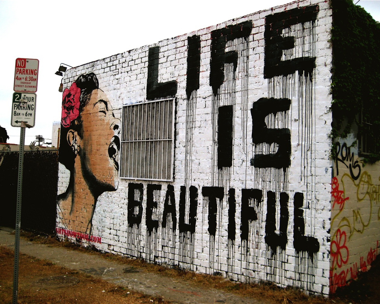 Graffiti Wallpaper For Walls - HD Wallpaper 
