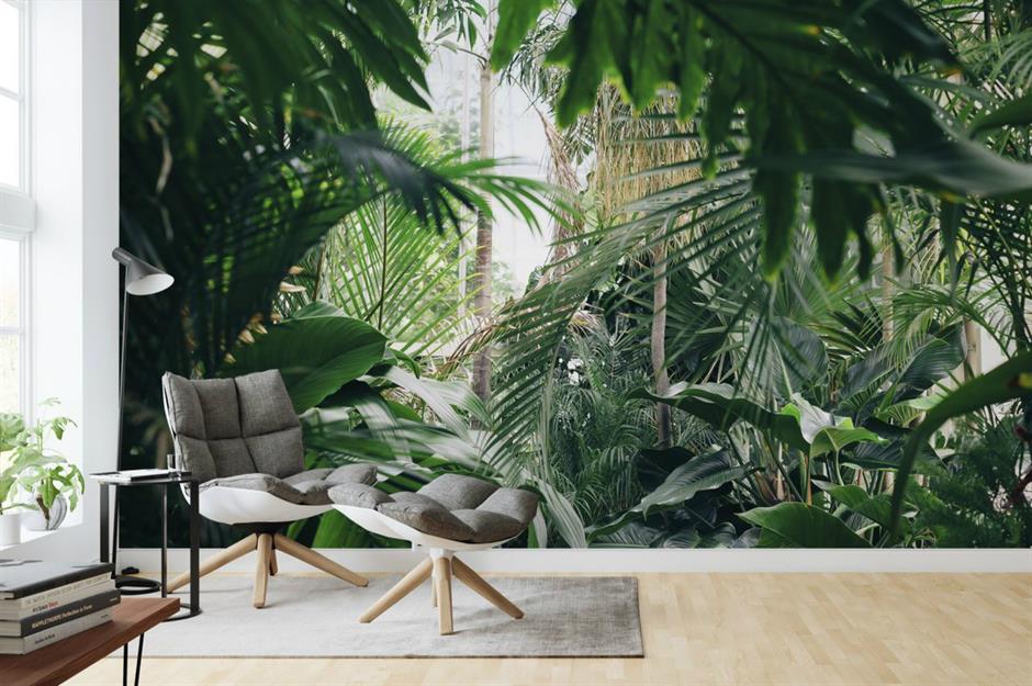 Daintree Rainforest - HD Wallpaper 