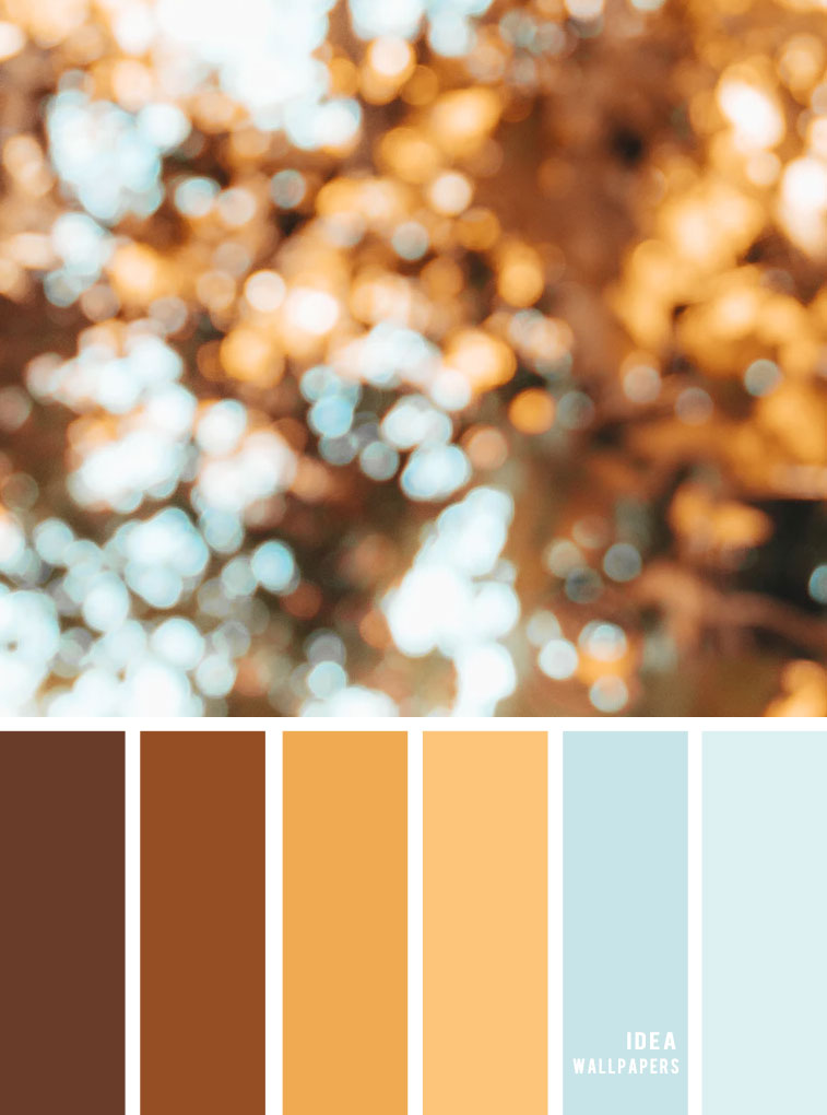 Color Inspiration - HD Wallpaper 