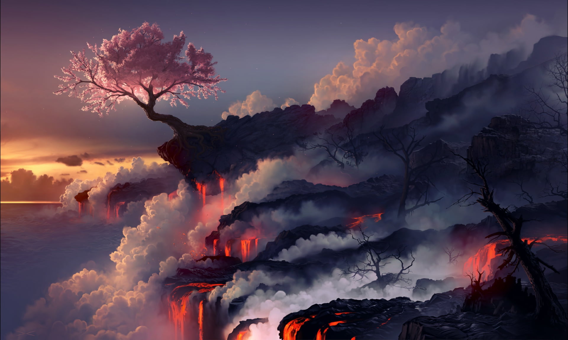 Blossom Tree Wallpaper - HD Wallpaper 