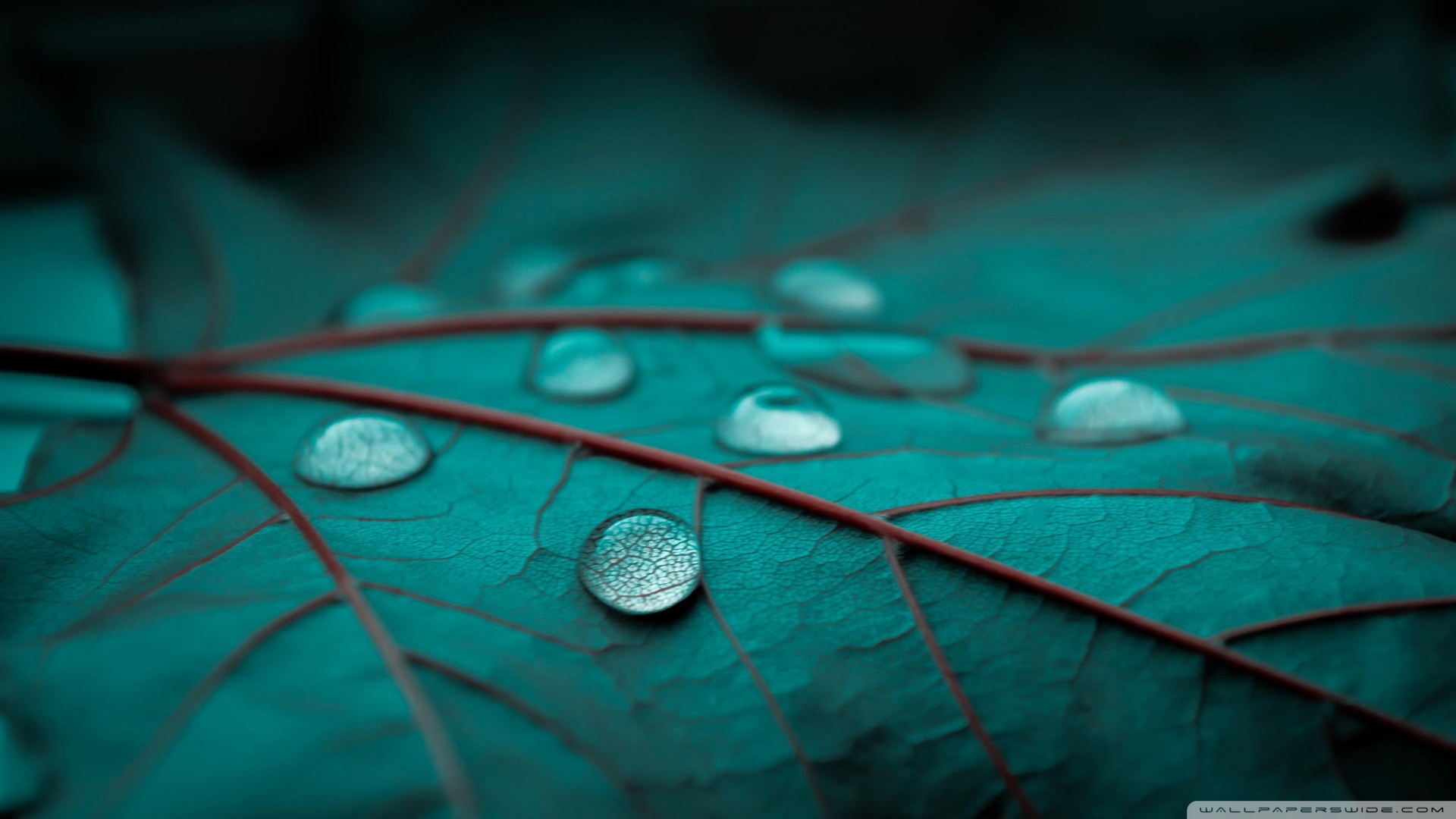 Emerald Wallpaper Hd - Emerald Wallpaper Full Hd - 1920x1080 Wallpaper - Emerald Wallpaper Hd - Emerald Wallpaper Full Hd - 1920x1080 Wallpaper -