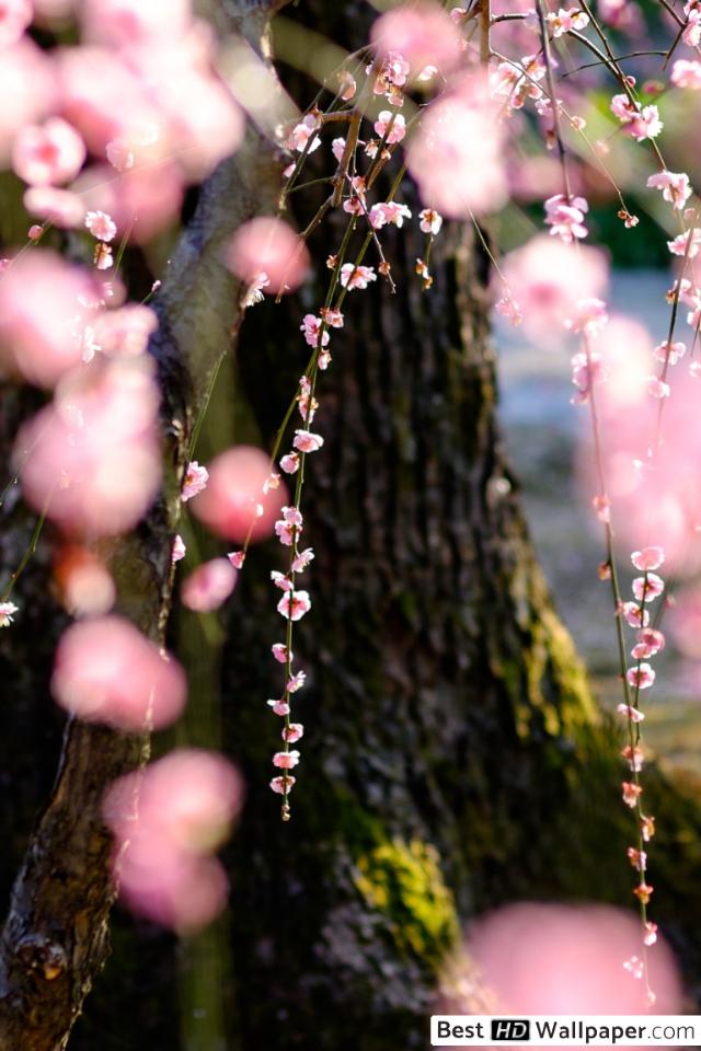 التماس به خدا جرأت - HD Wallpaper 