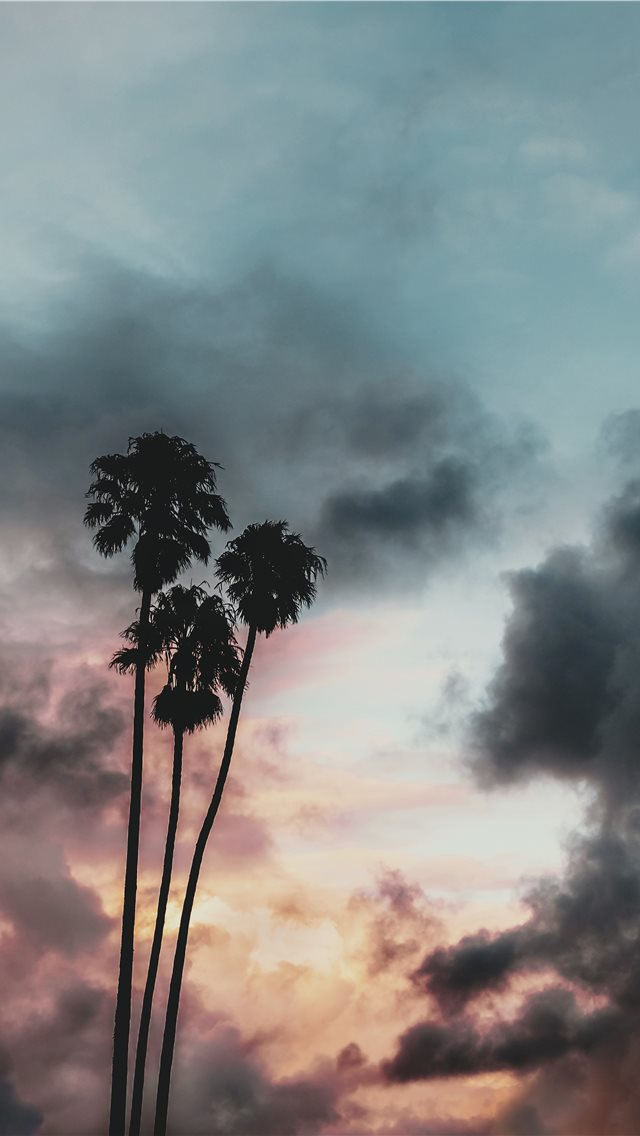 Clouds Sunset With Palm Trees - HD Wallpaper 