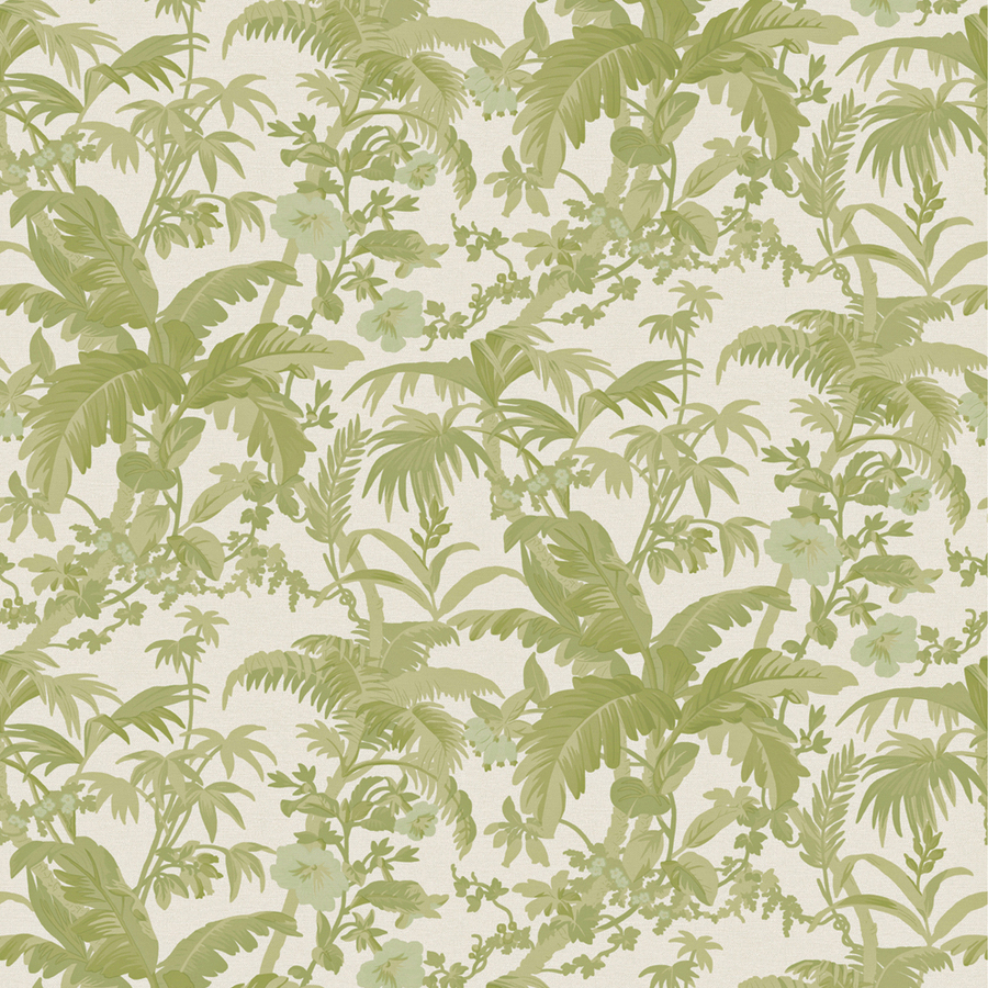 Plane-tree Family - HD Wallpaper 