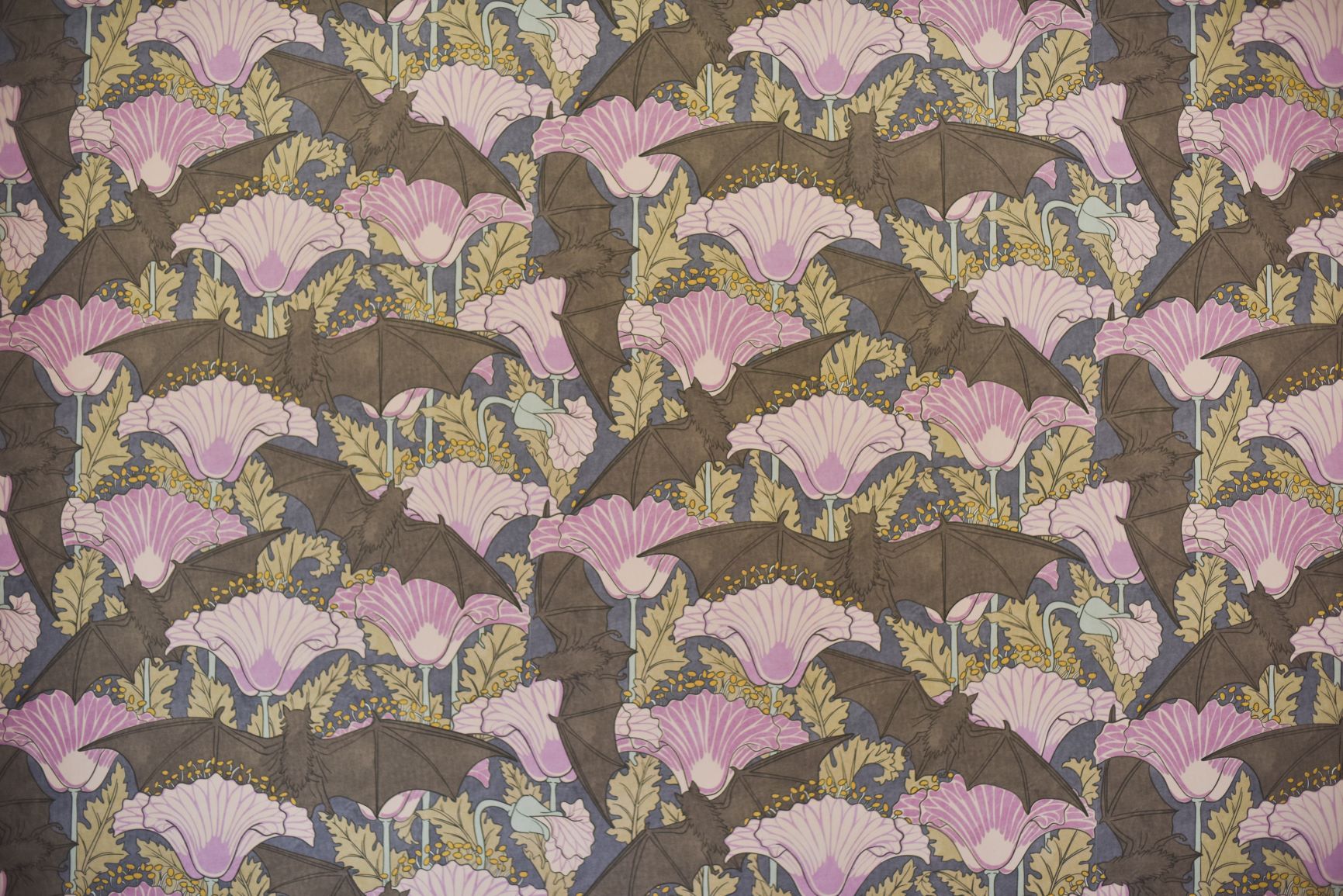 Wallpaper - HD Wallpaper 