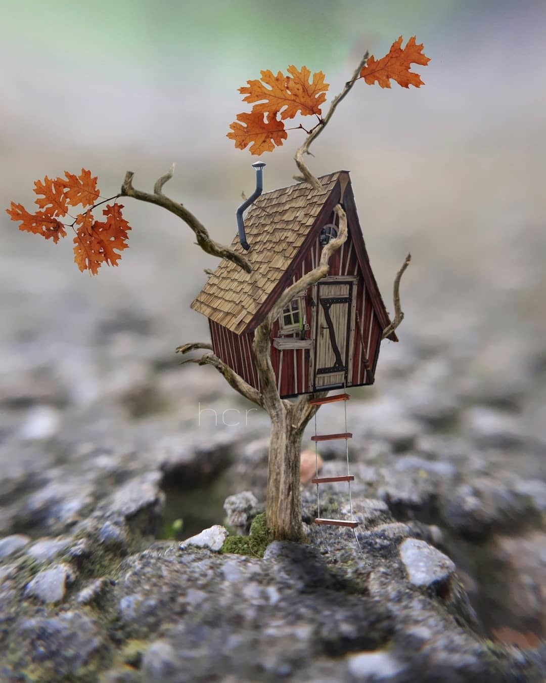 بهتر عکسهای پروفایل - HD Wallpaper 