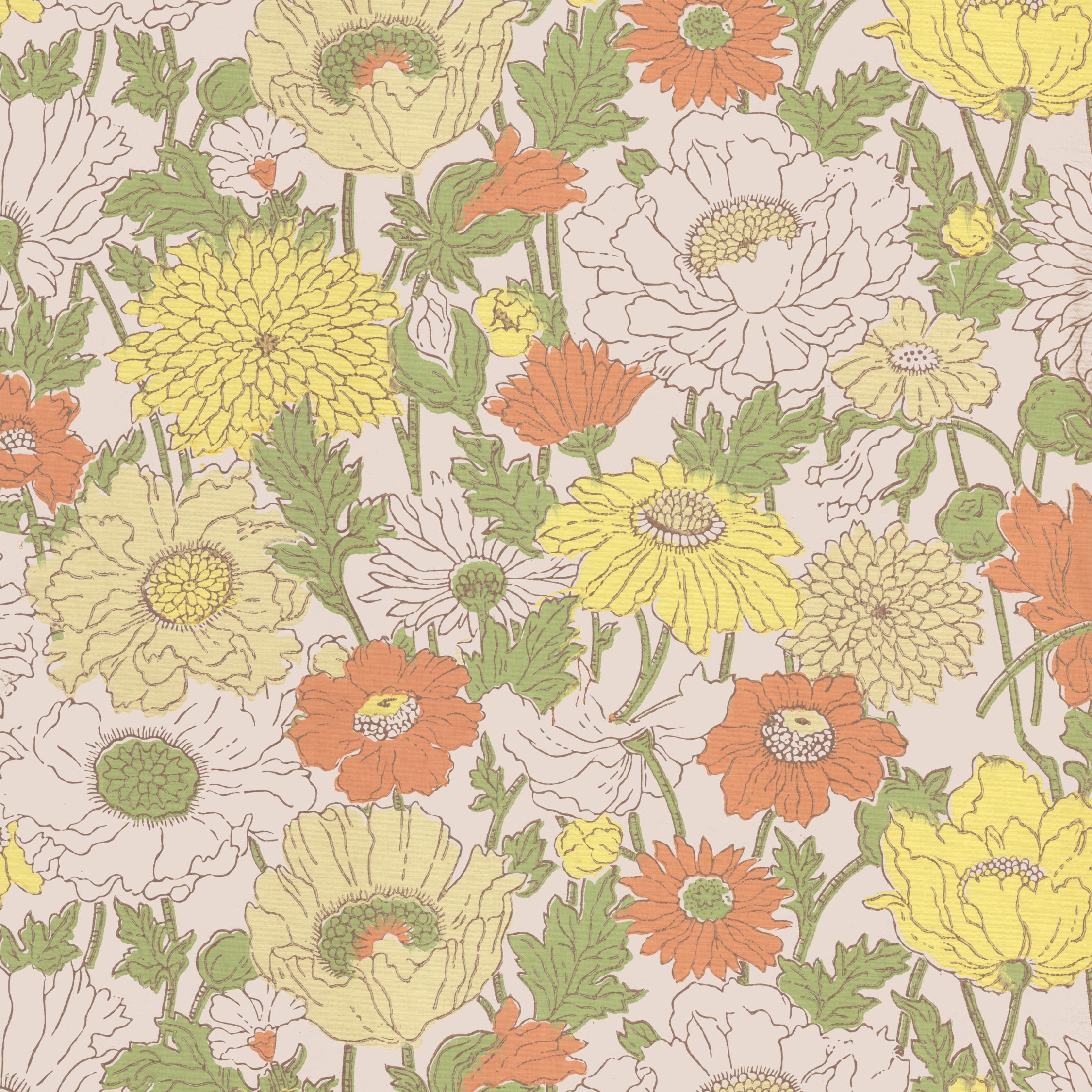 Sunflower - HD Wallpaper 