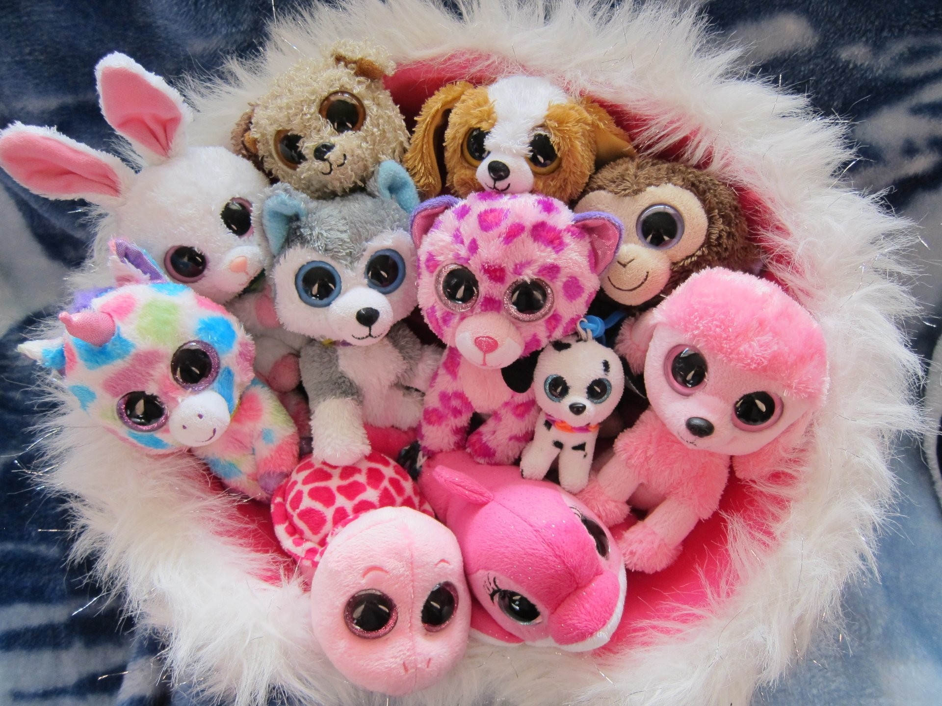 Data Src Beanie Boos Wallpaper Picture - Beanie Boo Birthday - HD Wallpaper 