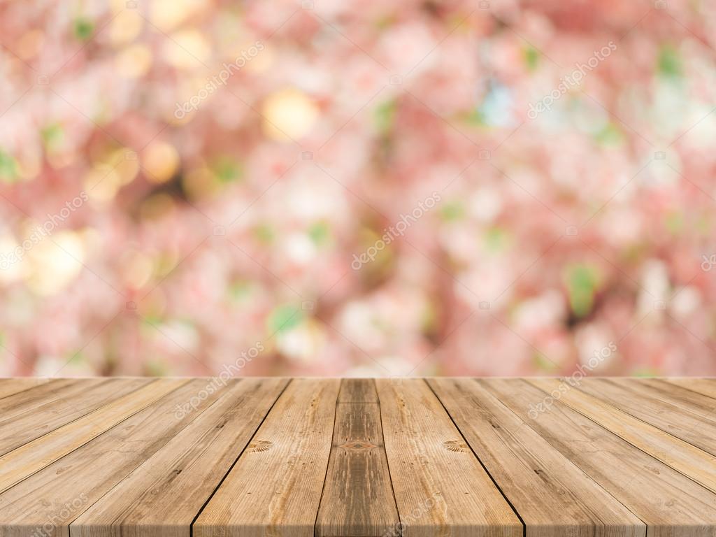 Cherry Blossom Background Blurred - HD Wallpaper 