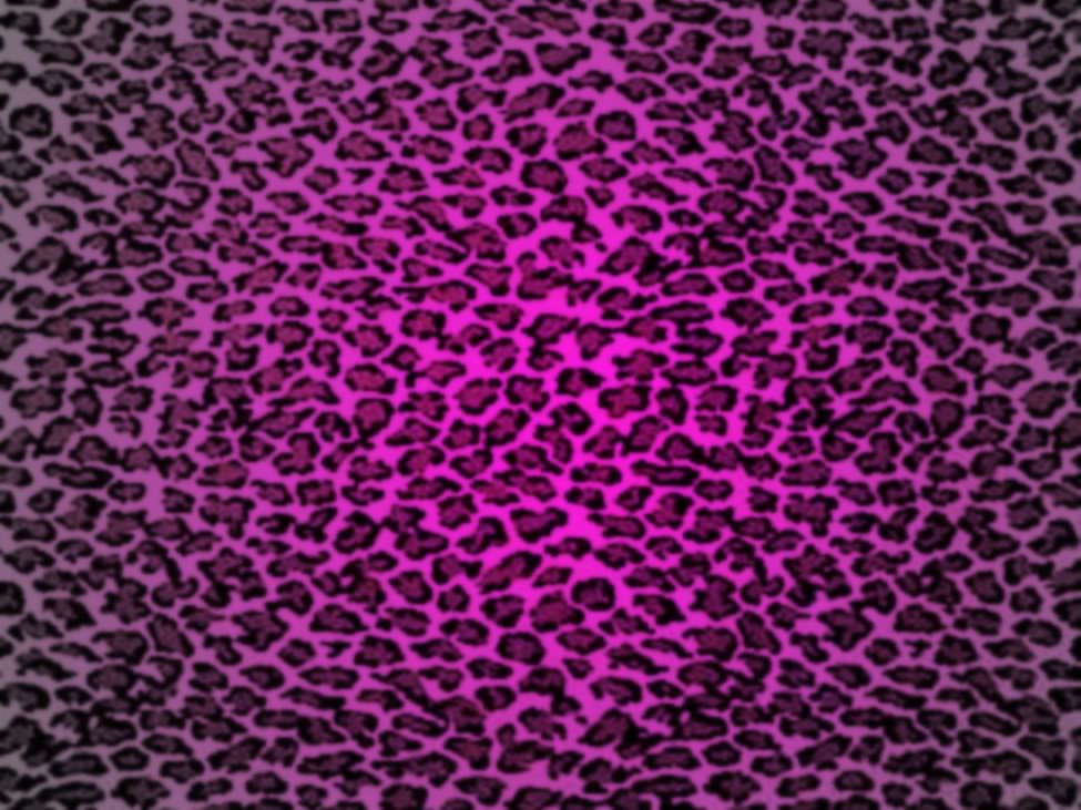 Dazzle My Droid - Purple Leopard Print Background - 975x731 Wallpaper -  