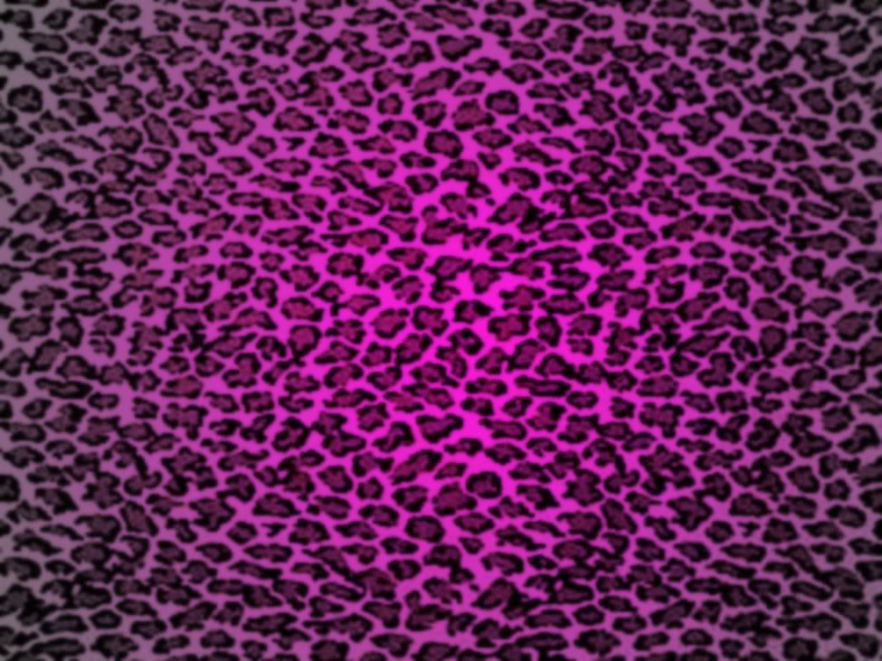 Dazzle My Droid - Purple Leopard Print Background - HD Wallpaper 