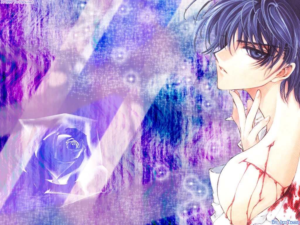 Clamp, Madhouse, X, Kamui Shirou Wallpaper 
	style - Anime Blood - HD Wallpaper 