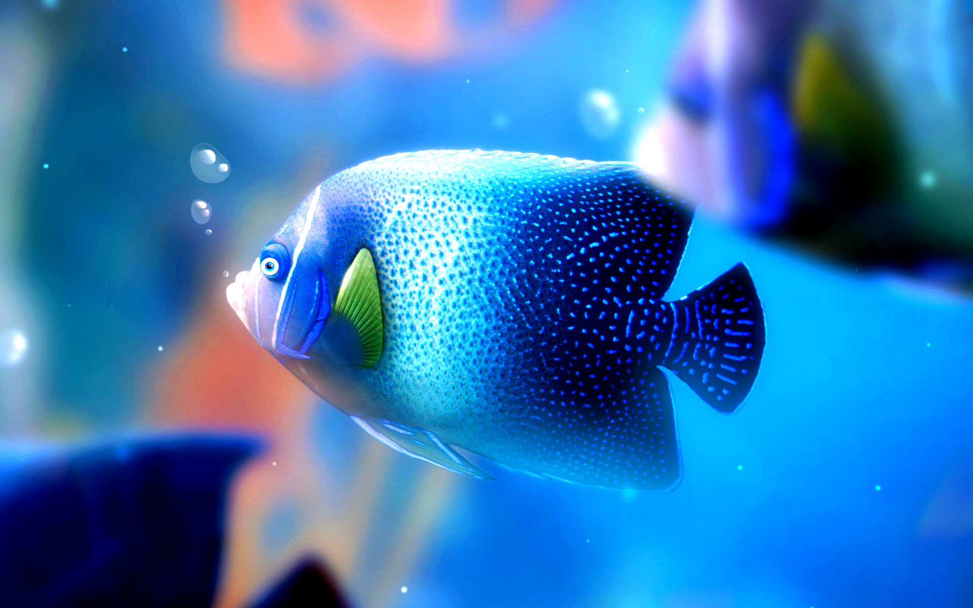 Beautiful Fish Wallpapers Hd Pictures One Hd Wallpaper - Beautiful Wallpaper Fish - HD Wallpaper 