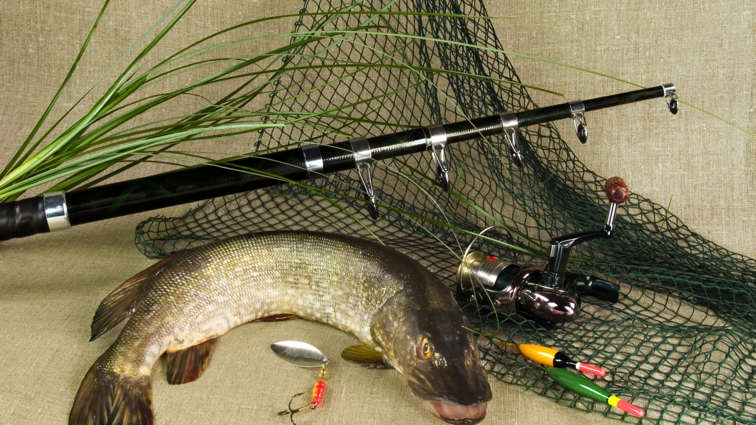 Tackle, Pike, Spinning, Grass, Fish Photo - Fishing Tackle - HD Wallpaper 