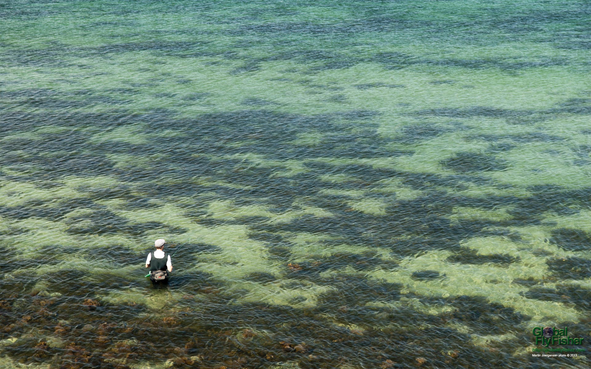 Desktop Wallpaper Fly Fishing - HD Wallpaper 