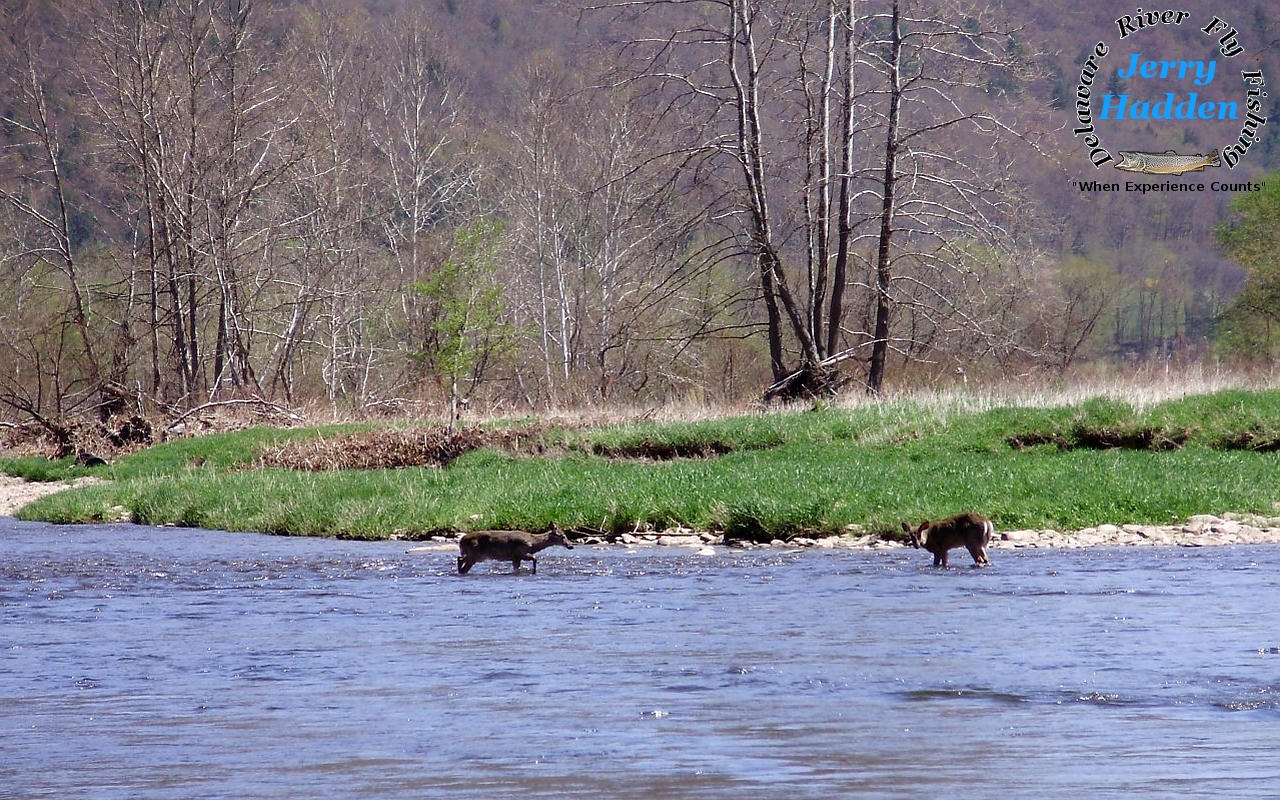 River - HD Wallpaper 