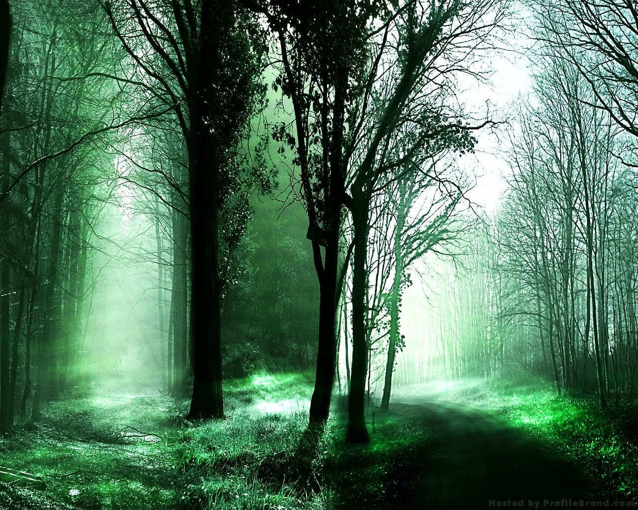 Forest Pathes - Background Forest Pc Hd - HD Wallpaper 