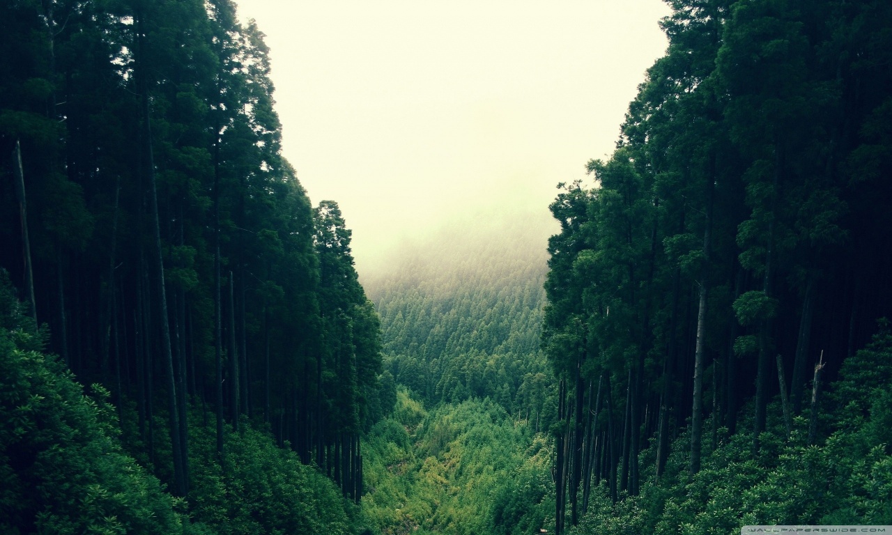 Kim Holtermand - HD Wallpaper 