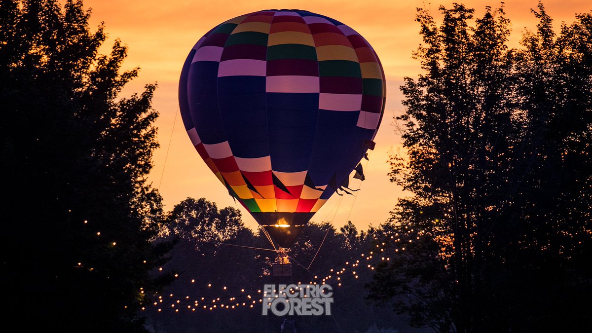 Electric Forest - HD Wallpaper 